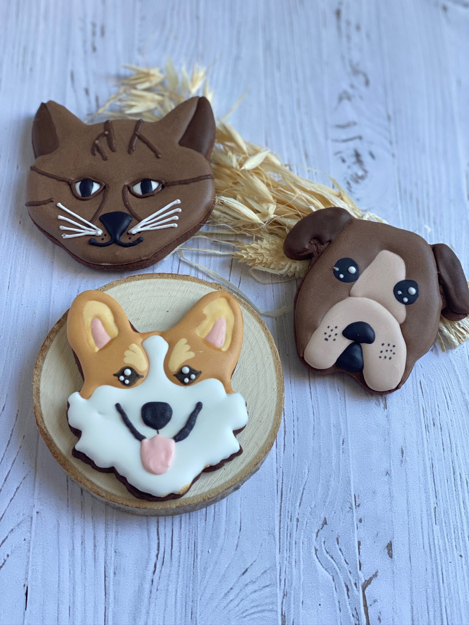 Biscuits décorés sur-mesure en forme de museaux d'animaux
